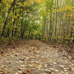 Meet your Posher, Anju